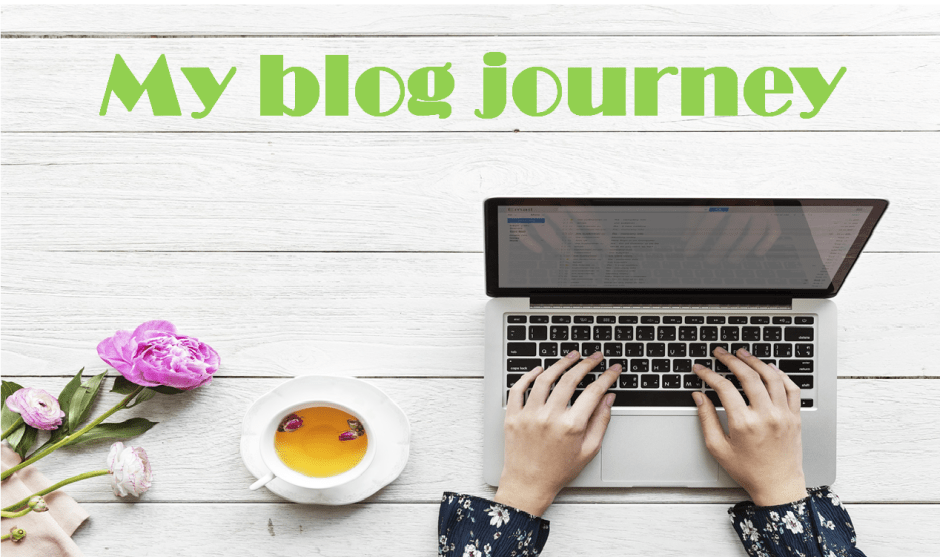 Blog Journey